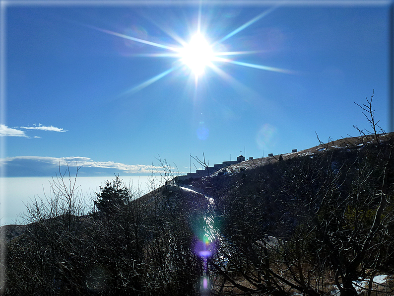 foto Salita dal Monte Tomba a Cima Grappa